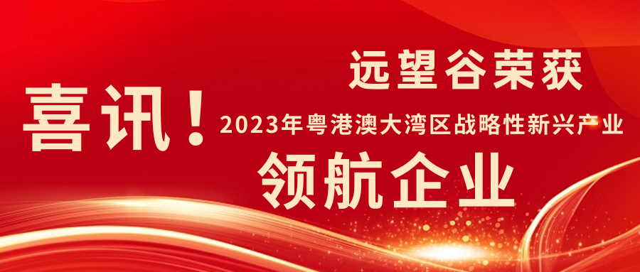 新年迎喜讯 | 远望谷荣获2023年粤港澳大湾区战略性新兴产业“领航企业”！