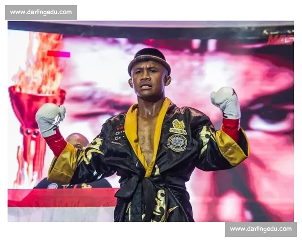 省过与播求激烈对决 谁能成为搏击王者的终极挑战